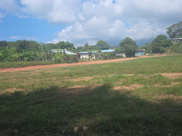 Butterfly Lots in Uvita Costa Rica. For Sale