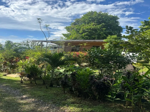 Ocean View Five Star Property With Two Homes